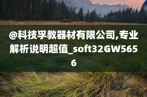 @科技孚教器材有限公司,专业解析说明超值_soft32GW5656