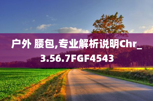 户外 腰包,专业解析说明Chr_3.56.7FGF4543