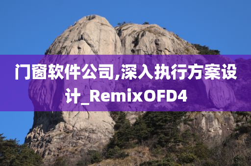 门窗软件公司,深入执行方案设计_RemixOFD4
