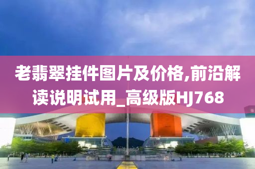老翡翠挂件图片及价格,前沿解读说明试用_高级版HJ768