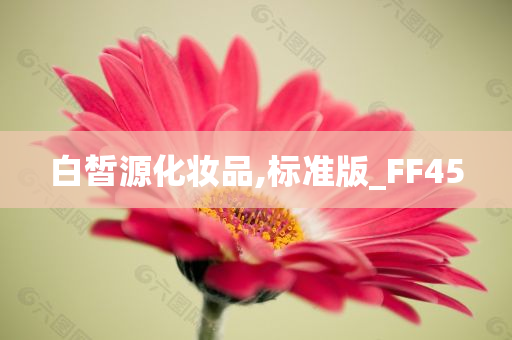 标准版 第10页