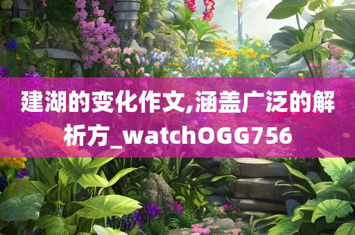 建湖的变化作文,涵盖广泛的解析方_watchOGG756