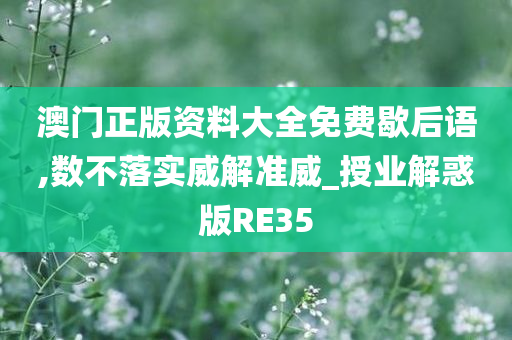 澳门正版资料大全免费歇后语,数不落实威解准威_授业解惑版RE35