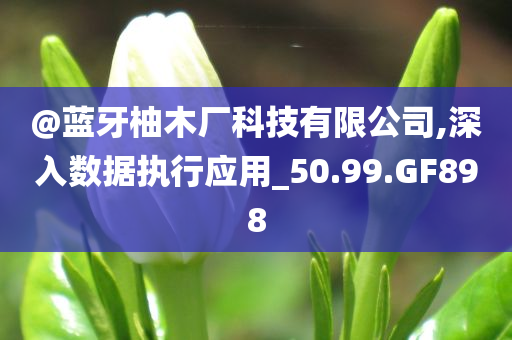@蓝牙柚木厂科技有限公司,深入数据执行应用_50.99.GF898