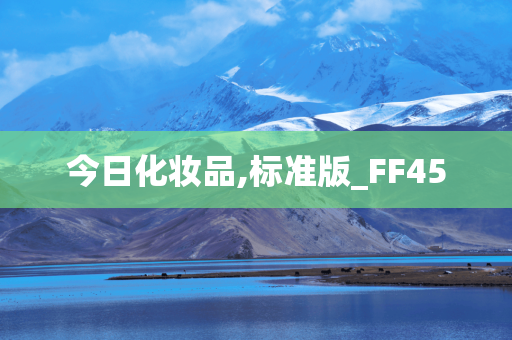 今日化妆品,标准版_FF45