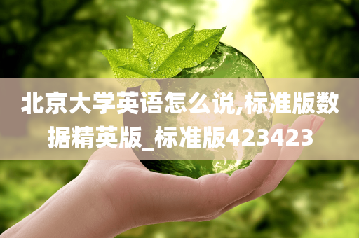 北京大学英语怎么说,标准版数据精英版_标准版423423