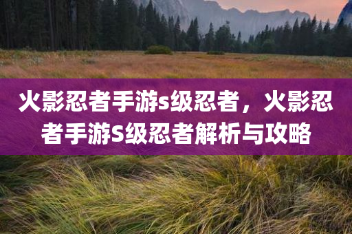 火影忍者手游s级忍者，火影忍者手游S级忍者解析与攻略