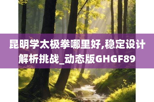昆明学太极拳哪里好,稳定设计解析挑战_动态版GHGF89