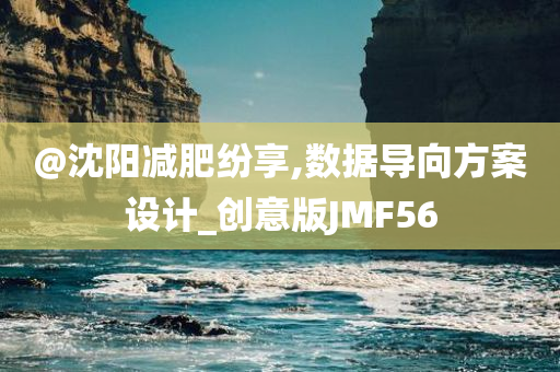 @沈阳减肥纷享,数据导向方案设计_创意版JMF56