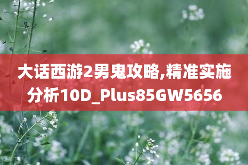 大话西游2男鬼攻略,精准实施分析10D_Plus85GW5656