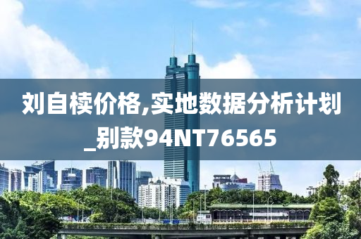 刘自椟价格,实地数据分析计划_别款94NT76565