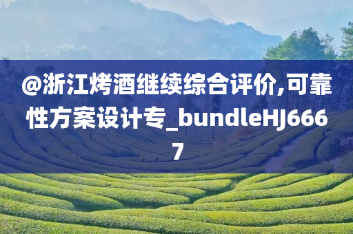 @浙江烤酒继续综合评价,可靠性方案设计专_bundleHJ6667