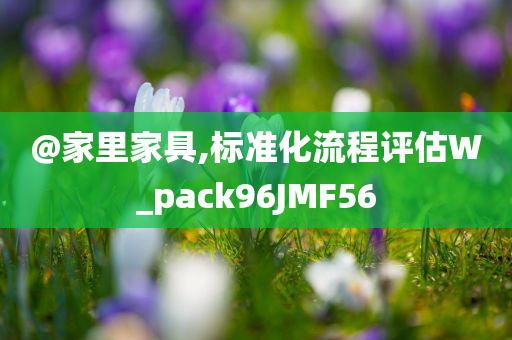 @家里家具,标准化流程评估W_pack96JMF56