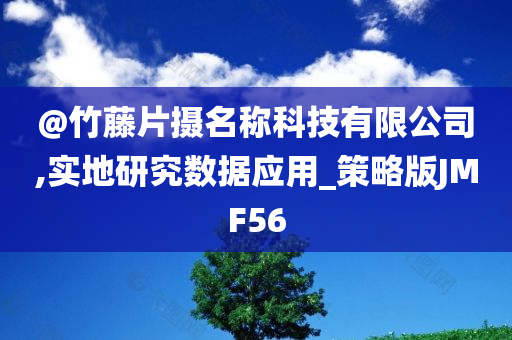 @竹藤片摄名称科技有限公司,实地研究数据应用_策略版JMF56