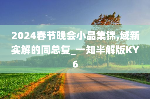 2024春节晚会小品集锦,域新实解的同总复_一知半解版KY6