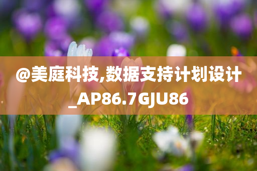 @美庭科技,数据支持计划设计_AP86.7GJU86