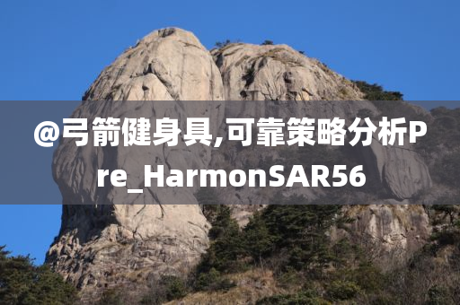 @弓箭健身具,可靠策略分析Pre_HarmonSAR56