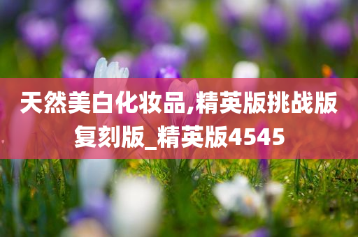 天然美白化妆品,精英版挑战版复刻版_精英版4545