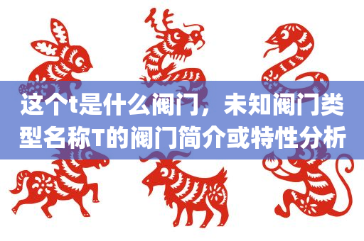 这个t是什么阀门，未知阀门类型名称T的阀门简介或特性分析