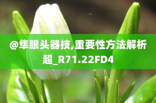 @隼眼头器技,重要性方法解析超_R71.22FD4