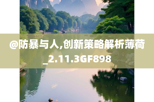 @防暴与人,创新策略解析薄荷_2.11.3GF898