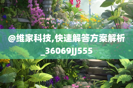 @维家科技,快速解答方案解析_36069JJ555