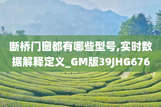 断桥门窗都有哪些型号,实时数据解释定义_GM版39JHG676