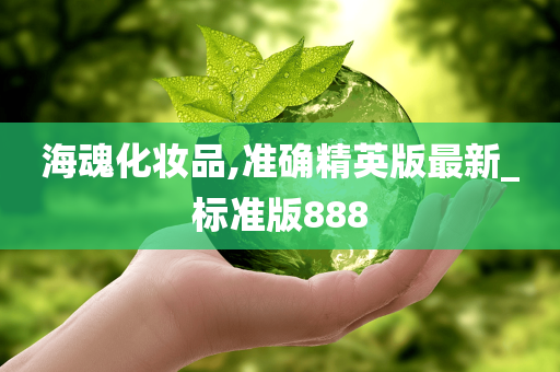 精英版 第14页