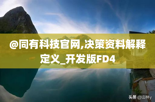 @同有科技官网,决策资料解释定义_开发版FD4