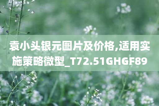 袁小头银元图片及价格,适用实施策略微型_T72.51GHGF89
