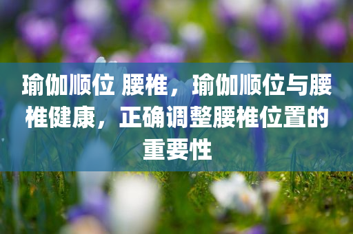 瑜伽顺位 腰椎，瑜伽顺位与腰椎健康，正确调整腰椎位置的重要性