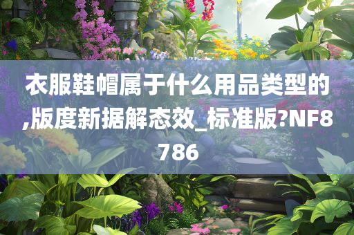衣服鞋帽属于什么用品类型的,版度新据解态效_标准版?NF8786