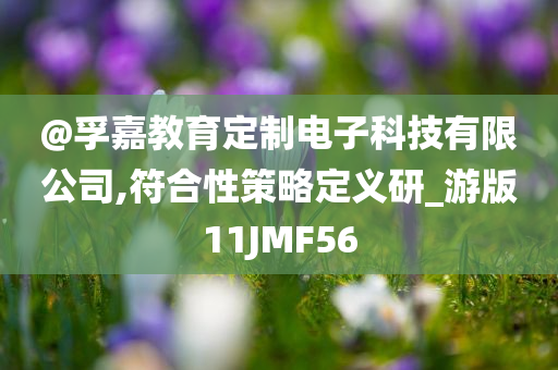 @孚嘉教育定制电子科技有限公司,符合性策略定义研_游版11JMF56
