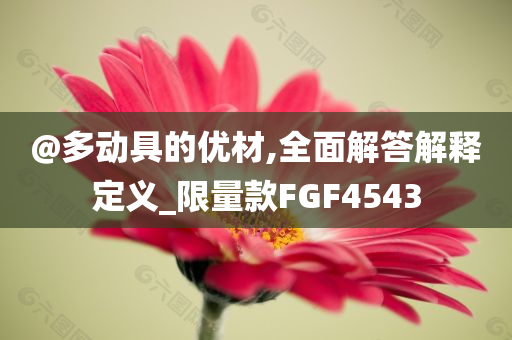 @多动具的优材,全面解答解释定义_限量款FGF4543