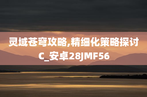 灵域苍穹攻略,精细化策略探讨C_安卓28JMF56