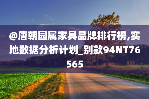@唐朝园属家具品牌排行榜,实地数据分析计划_别款94NT76565