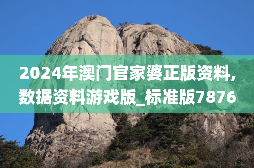 2024年澳门官家婆正版资料,数据资料游戏版_标准版7876