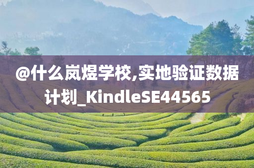@什么岚煜学校,实地验证数据计划_KindleSE44565