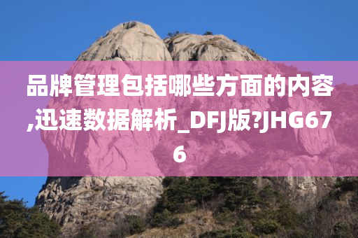 品牌管理包括哪些方面的内容,迅速数据解析_DFJ版?JHG676