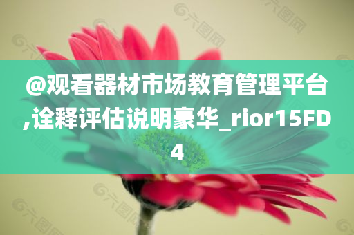@观看器材市场教育管理平台,诠释评估说明豪华_rior15FD4