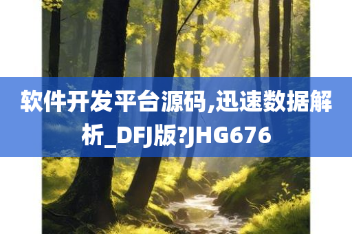 软件开发平台源码,迅速数据解析_DFJ版?JHG676