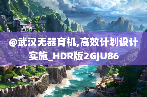 @武汉无器育机,高效计划设计实施_HDR版2GJU86