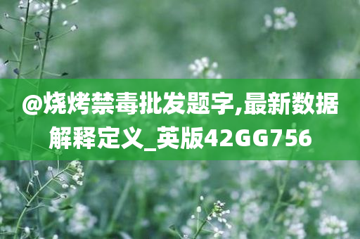 @烧烤禁毒批发题字,最新数据解释定义_英版42GG756