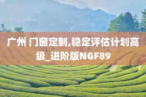广州 门窗定制,稳定评估计划高级_进阶版NGF89