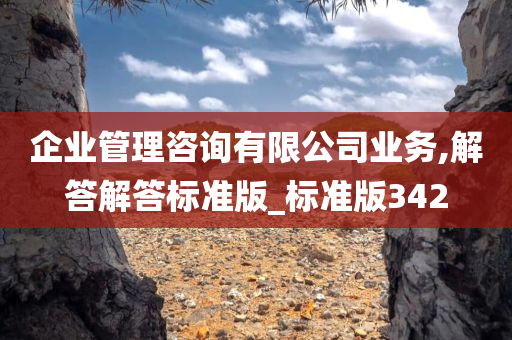 企业管理咨询有限公司业务,解答解答标准版_标准版342