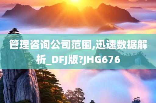 管理咨询公司范围,迅速数据解析_DFJ版?JHG676