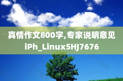 真情作文800字,专家说明意见iPh_Linux5HJ7676