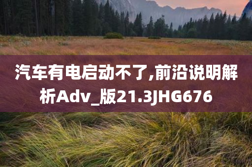 汽车有电启动不了,前沿说明解析Adv_版21.3JHG676
