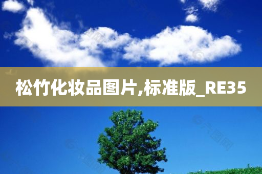 标准版 第7页