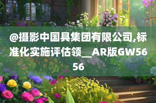 @摄影中国具集团有限公司,标准化实施评估领__AR版GW5656